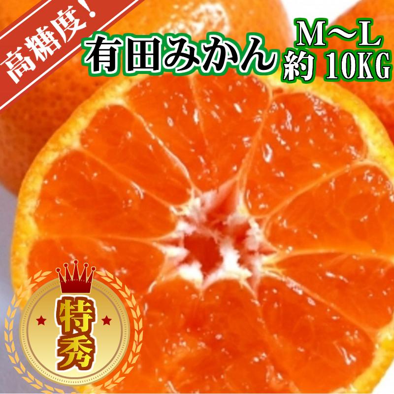 【ふるさと納税】有田みかん［特秀品M~L、高糖度］約10kg!［2026年10月から12月下旬頃順次発送］ | フルーツ 果物 くだもの 食品 人気 おすすめ 送料無料｜和歌山県和歌山市 15,000円