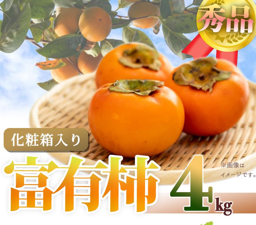 【ふるさと納税】和歌山秋の味覚　富有柿　約４ｋｇ化粧箱入「2026年11月上旬以降発送予定」［UT50］ | 和歌山県 和歌山市 和歌山 支援品 返礼品 お取り寄せグルメ お取り寄せ グルメ 柿 かき カキ フルーツ 果物 くだもの 甘い柿 おいしい 美味しい 秋の味覚 食べ物
