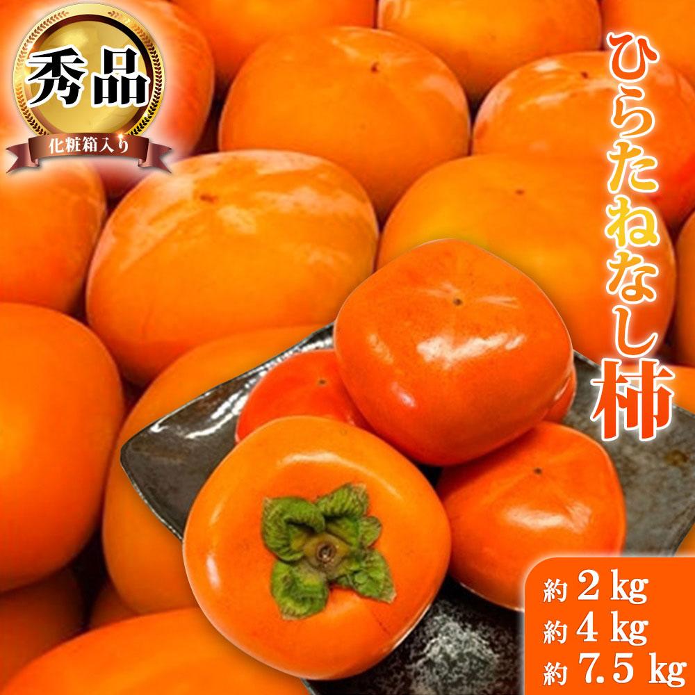 【ふるさと納税】和歌山秋の味覚　平核無柿（ひらたねなしがき）約2kg／約4kg／約7.5kg　化粧箱入 | 和歌山県 和歌山市 和歌山 楽天ふるさと 納税 支援品 返礼品 お取り寄せグルメ お取り寄せ 取り寄せ グルメ 柿 かき カキ フルーツ 果物 くだもの 種なし 種無し柿