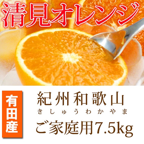 【ふるさと納税】［ご家庭用訳アリ］紀州有田産清見オレンジ　7.5kg［2026年3月下旬以降発送］［先行予約］［UT54］ | 和歌山県 和歌山市 和歌山 楽天ふるさと 支援品 返礼品 お取り寄せグルメ取り寄せ フルーツ 果物 くだもの オレンジ 清見オレンジ 柑橘 柑橘類 訳あり