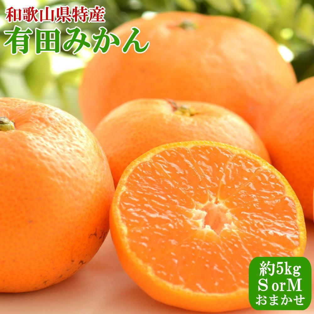 【ふるさと納税】[秀品]和歌山有田みかん約5kg(SまたはMサイズ) ★2026年11月中旬頃より順次発送［TM97］ | 和歌山県 和歌山市 和歌山 ふるさと 納税 返礼品 お取り寄せグルメ お取り寄せ 取り寄せ グルメ フルーツ 果物 くだもの みかん ミカン 有田みかん｜和歌山県和歌山市