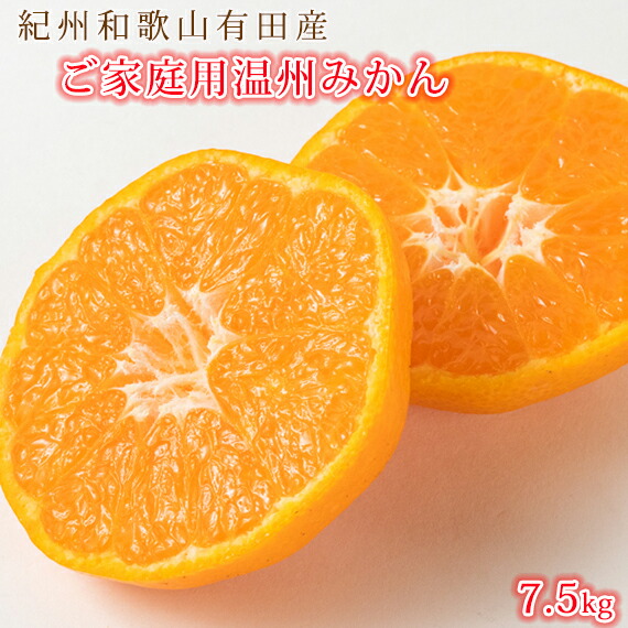 【ふるさと納税】［ご家庭用訳アリ］紀州有田産温州みかん7.5kg［2026年11月下旬以降発送］［先行予約］［UT10］ | 和歌山 ふるさと 納税 支援品 返礼品 お取り寄せグルメ お取り寄せ 取り寄せ グルメ フルーツ 果物 くだもの みかん ミカン 蜜柑 温州みかん 柑橘類｜和歌山県和歌山市 11,550円