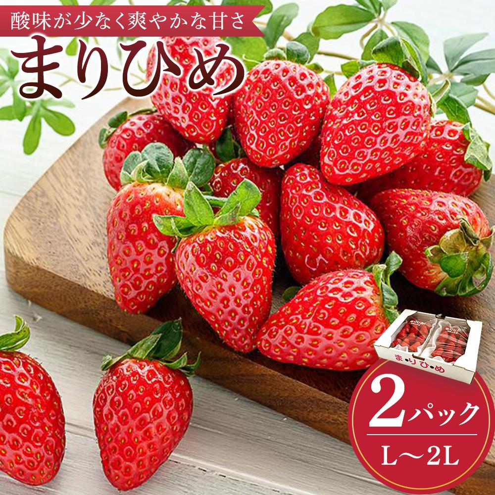 【ふるさと納税】まりひめイチゴ L～２L 12粒～15粒×2パック［2026年1月中旬から発送］［先行販売］［KG7］ | 苺 イチゴ いちご フルーツ 果物 くだもの 食品 人気 おすすめ 送料無料