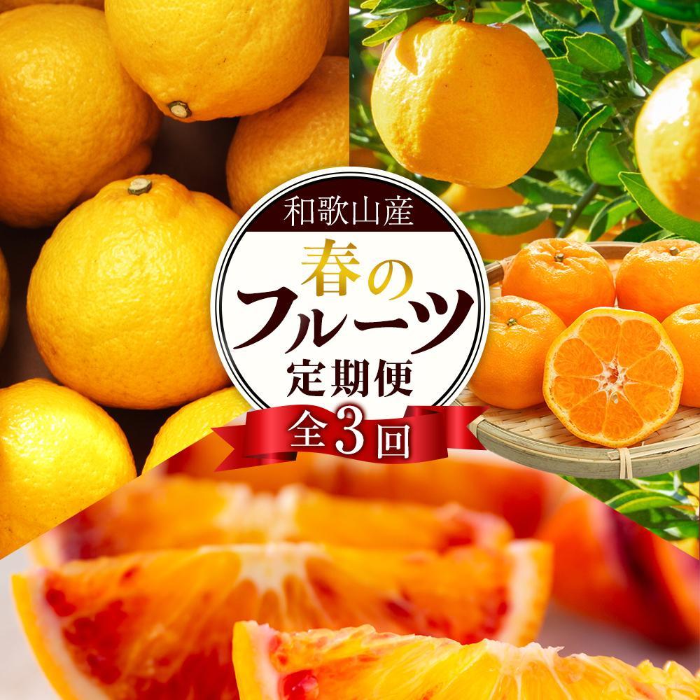 【ふるさと納税】定期便全3回 【2月・3月・4月発送】 和歌山の春の柑橘 (ポンカン・はるか・ブラッドオレンジ)秀品【TM173】 | フルーツ 果物 くだもの 食品 人気 おすすめ 送料無料|和歌山県和歌山市