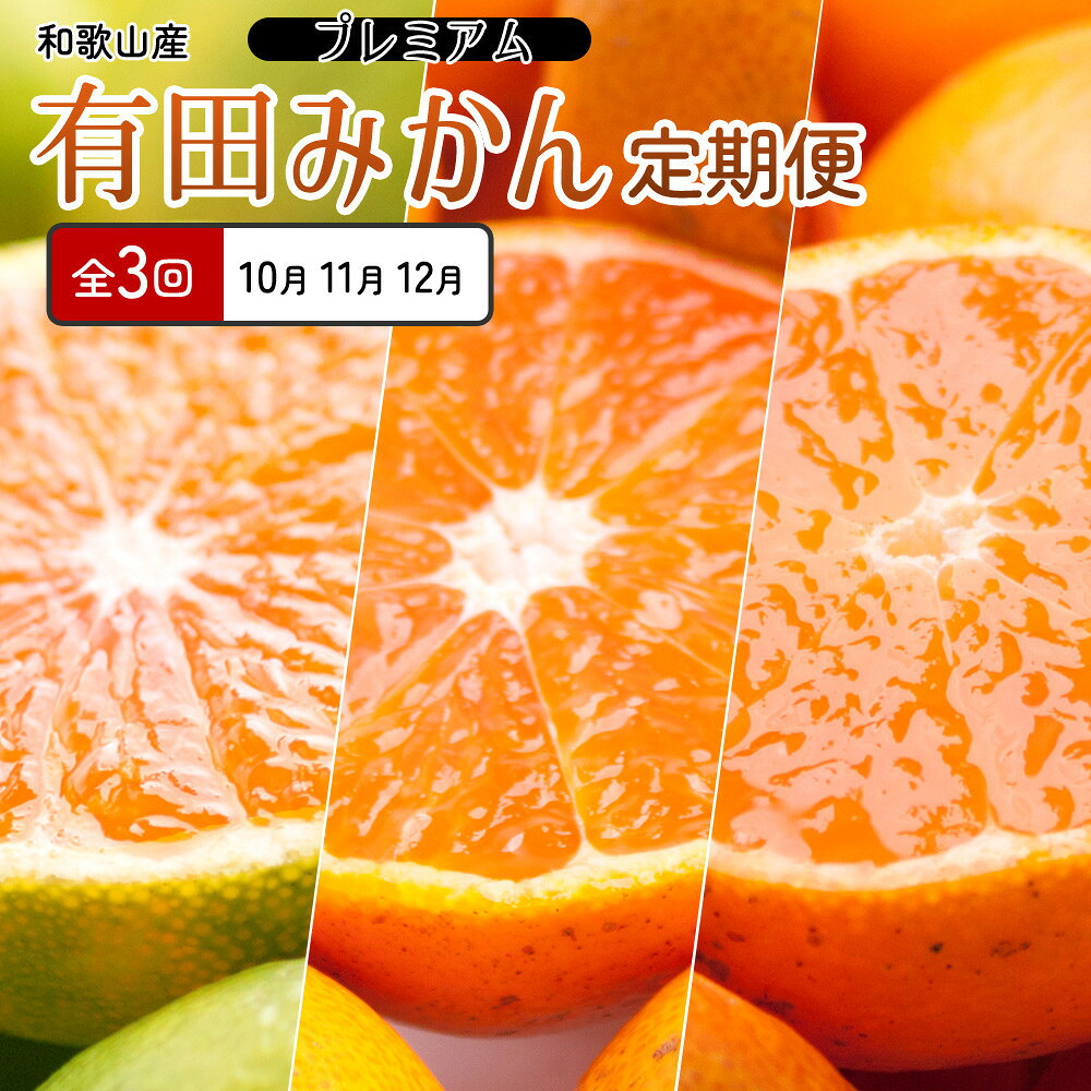 【ふるさと納税】厳選 柑橘定期便SS（10～12月）全3回【みかん定期便お試し版】［IKE284］ | フルーツ 果物食品 人気 おすすめ 送料無料｜和歌山県和歌山市