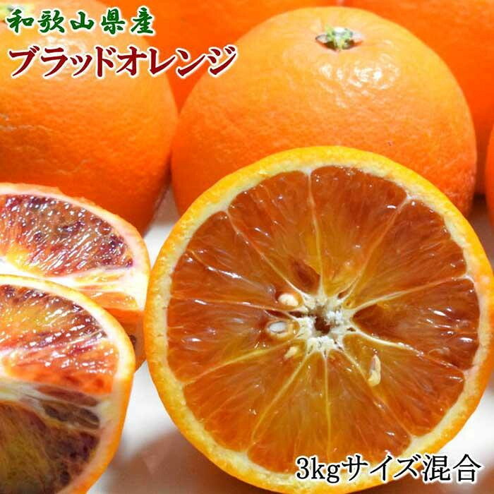 【ふるさと納税】【選べる容量】［希少・高級柑橘］国産濃厚ブラッドオレンジ「タロッコ種」 3kg or 5kg ★2026年4月頃より順次発送予定 | 和歌山県 和歌山市 和歌山 ふるさと 納税 支援品 返礼品 お取り寄せグルメ お取り寄せ 取り寄せ グルメ フルーツ 果物 くだもの