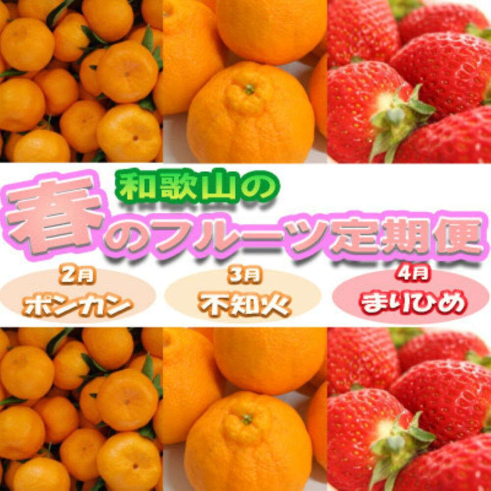 【ふるさと納税】定期便 全3回 【2月・3月・4月発送】和歌山の春のフルーツ（ポンカン・不知火・まりひめ）［TM259］ | フルーツ 果物 くだもの 食品 人気 おすすめ 送料無料 定期便 産地直送｜和歌山県和歌山市