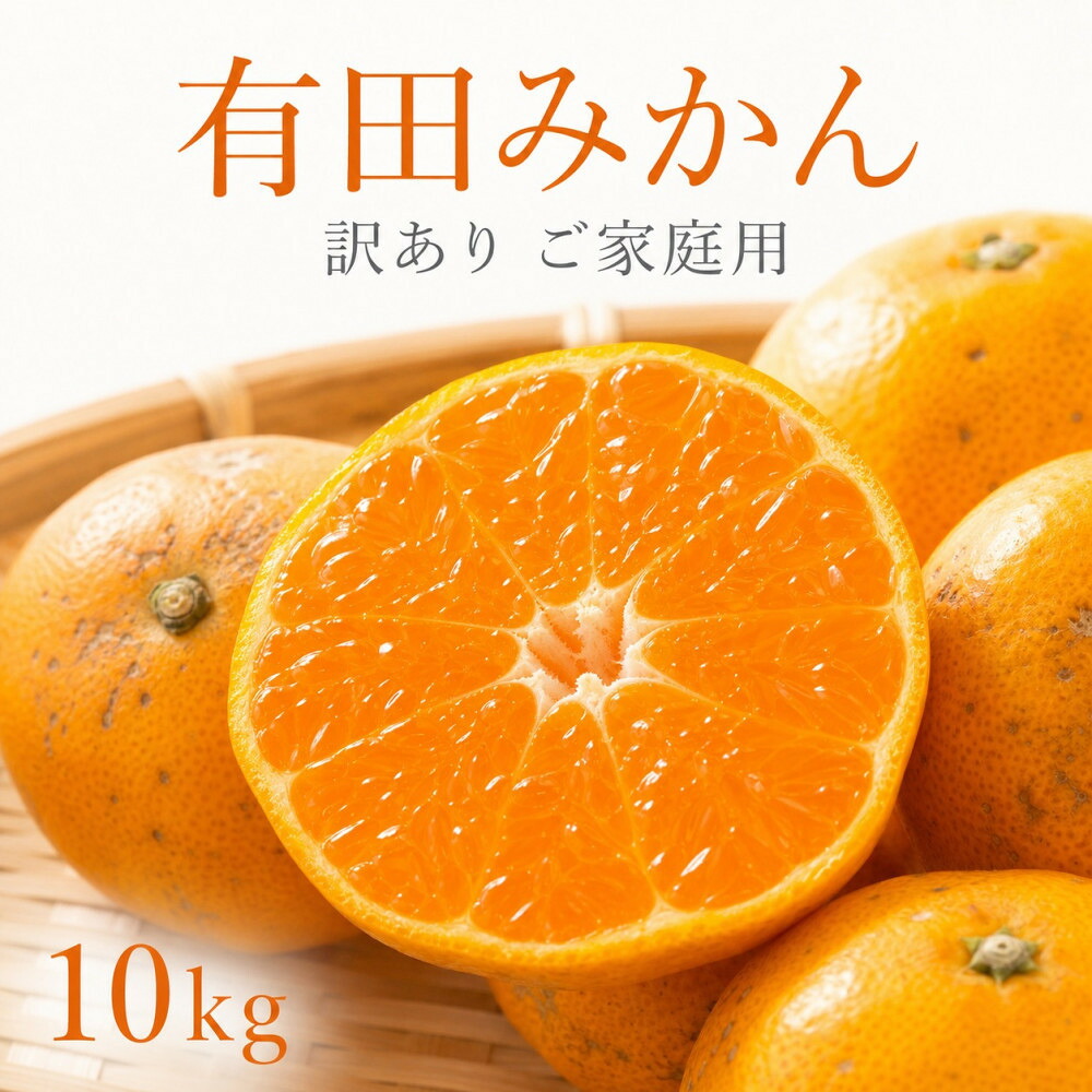 【ふるさと納税】［ご家庭用訳あり］有田みかん10kg 2S～2Lサイズ混合［UT152］ | みかん 蜜柑 フルーツ 果物 柑橘 くだもの 甘い 食品 人気 おすすめ 送料無料 産地直送｜和歌山県和歌山市