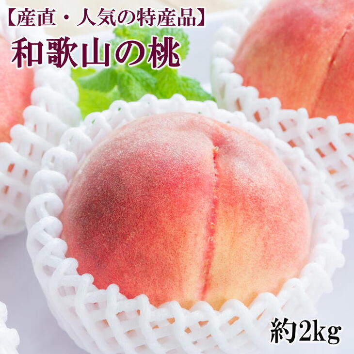 絶対一番安い 楽天市場 ふるさと納税 産直 人気の特産品 和歌山の桃 約2kg 秀選品 和歌山県和歌山市 格安 Lexusoman Com