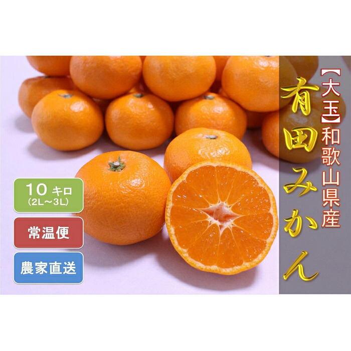 和歌山県産 有田みかん 10kgひとつひとつ手選別で厳選! 生産者から直送!
