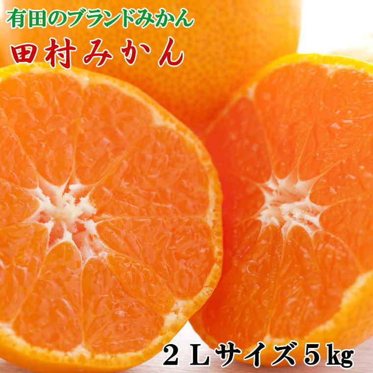 人気ブランド ブランドみかん 田村みかん約5kg 2lサイズ 秀品 格安人気 Sicemingenieros Com