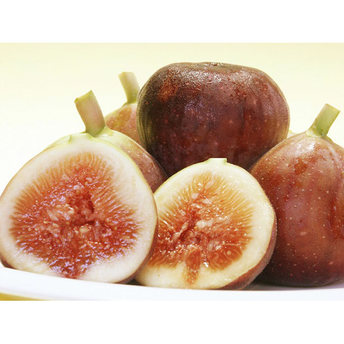 【ふるさと納税】和歌山産 いちじく 秀品800g(400g×2パック) | イチジク 無花果 果物 フルーツ 和歌山 返礼品