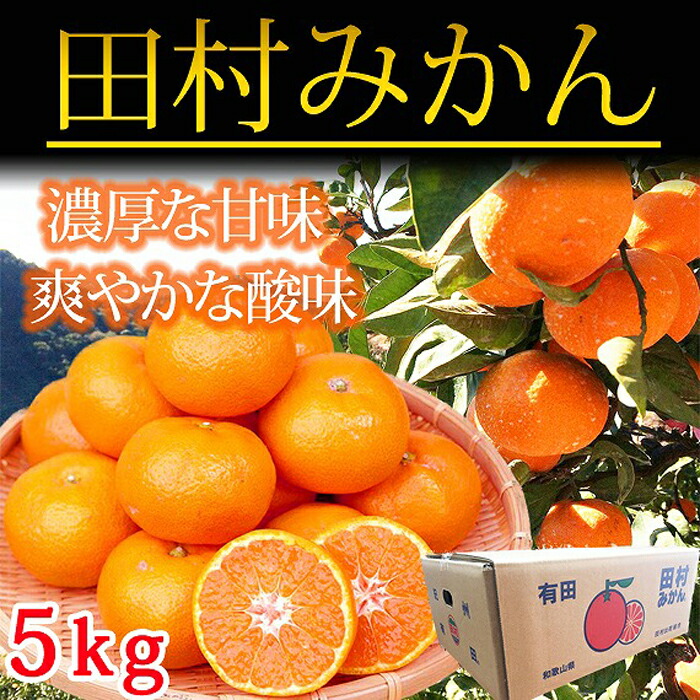 ☆先行予約☆高級ブランド田村みかん 5kg 和歌山県 和歌山市 和歌山 ふるさと 納税 支援品 返礼品 お取り寄せグルメ お取り寄せ 取り寄せ グルメ  フルーツ 果物 くだもの みかん ミカン 田村みかん 蜜柑 柑橘類 かんきつ類 おいしいみかん 3周年記念イベントが