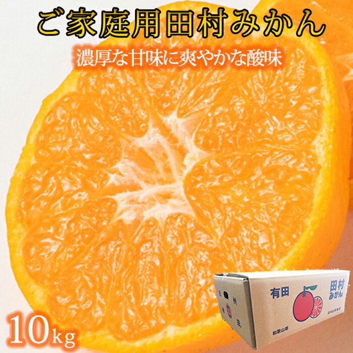 先行予約 田村みかん 10kg 和歌山市 ふるさと おいしいみかん かんきつ類 くだもの 和歌山県 支援品 訳あり ミカン 和歌山 グルメ 納税 取り寄せ 返礼品 果物 みかん お取り寄せグルメ お取り寄せ 蜜柑 フルーツ 柑橘類 先行予約 田村みかん 10kg 和歌山市 ふるさと おいしいみかん かんきつ類 くだもの 和歌山県 支援品 訳あり ミカン 和歌山 グルメ 納税 取り寄せ 返礼品 果物 みかん お取り寄せグルメ お取り寄せ 蜜柑 フルーツ 柑橘類