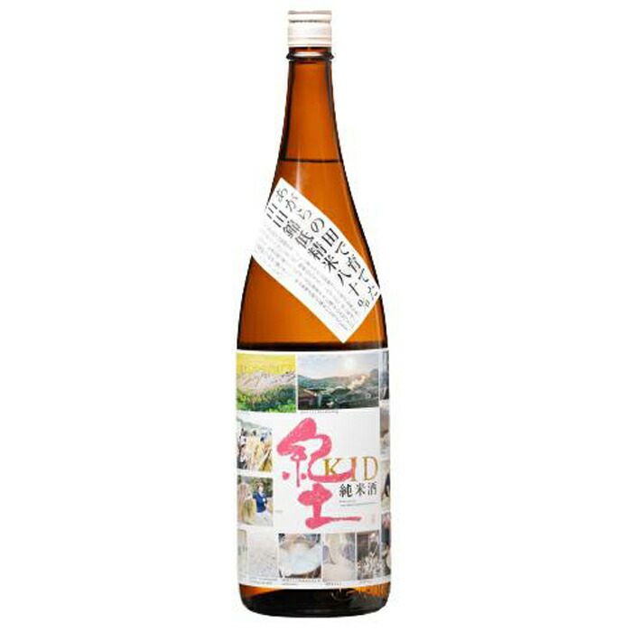 定番のお歳暮 日本城 吟醸純米酒と特別本醸造1.8L×2種セット ふるさと 納税 支援 和歌山 お土産 和歌山県 お取り寄せ ご当地 純米吟醸  純米吟醸酒 純米酒 日本酒 お酒 酒 アルコール飲料 その他 地酒 特産品 名産品 おすすめ 土産 取り寄せ 日高町 fucoa.cl