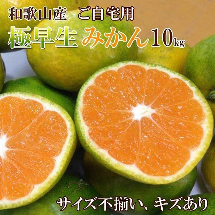 【ふるさと納税】和歌山産 【極早生】みかん 10kg 【ご自宅用・サイズ不揃い・キズ等あり】【ヤマタ大谷商店】 | フルーツ 果物 くだもの 食品 人気 おすすめ 送料無料
