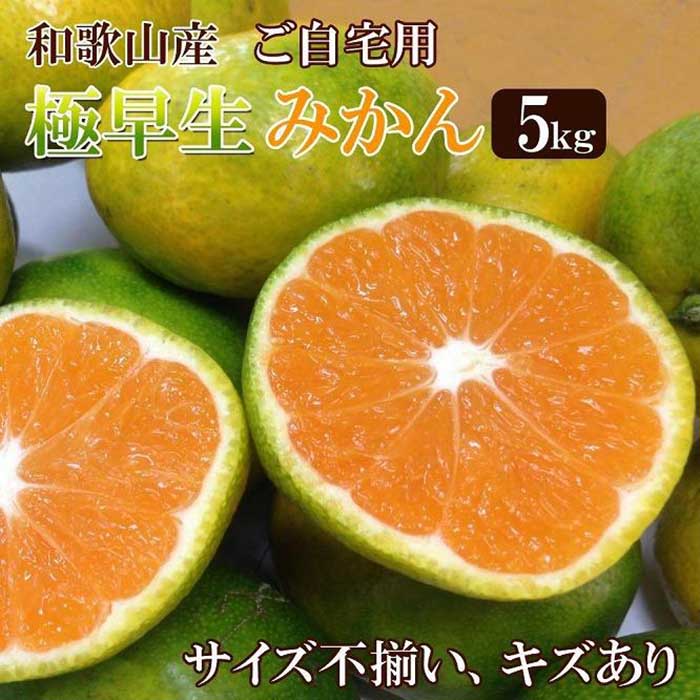 【ふるさと納税】和歌山産 【極早生】みかん 5kg 【ご自宅用・サイズ不揃い・キズ等あり】【ヤマタ大谷商店】 | みかん 極早生みかん 柑橘 蜜柑 和歌山 フルーツ 果物 ふるさと納税 返礼品