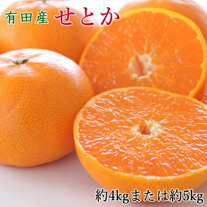 【ふるさと納税】一度は食べていただきたい「有田産のせとか」約4～5kg（サイズおまかせ）★2026年2月中旬頃より順次発送［TM138］ | 和歌山市 和歌山 楽天ふるさと 納税 支援品 返礼品 お取り寄せグルメ お取り寄せ 取り寄せ グルメ フルーツ 果物 くだもの 柑橘