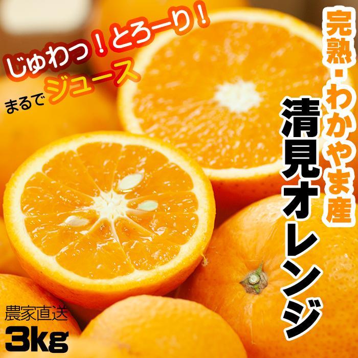 【ふるさと納税】清見オレンジ 3kg 混合サイズ 和歌山県海南市産(2027年3月下旬頃から順次発送) きよみオレンジ 清見タンゴール 清美オレンジ きよみ キヨミ kiyomi 果物 フルーツ みかん 柑橘 オレンジ 清見 和歌山海南｜和歌山県海南市