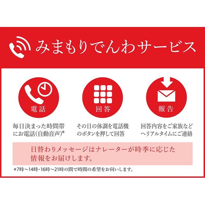 【ふるさと納税】みまもりでんわサービス【固定電話】（3か月間）