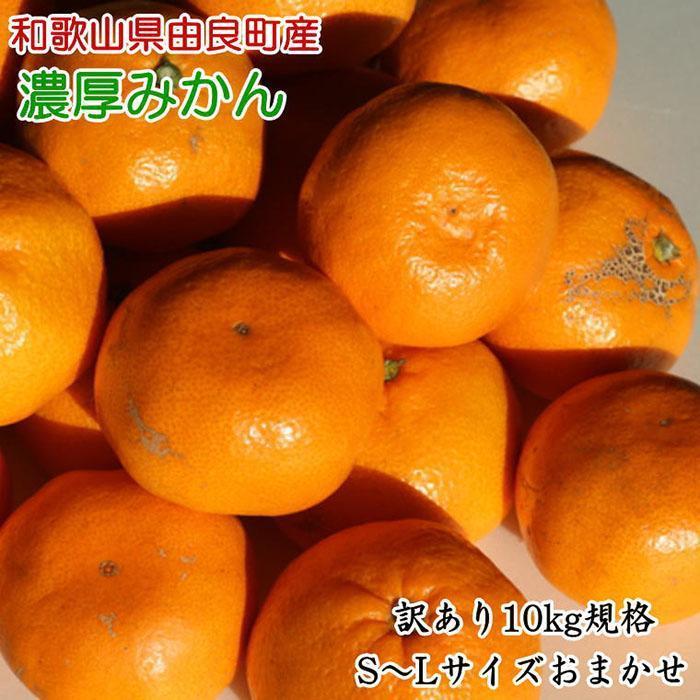 和歌山県下津町　麗江みかん　訳あり　20kg（10kg✖️2ケース） 8c9506acaa06c163fe7147b32c0ddc
