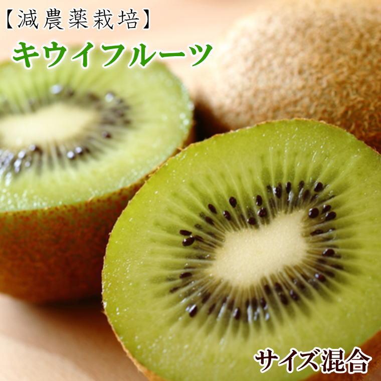 【ふるさと納税】［減農薬栽培］和歌山産キウイフルーツ約3kg（サイズ混合）★2026年２月中旬頃より順次発送