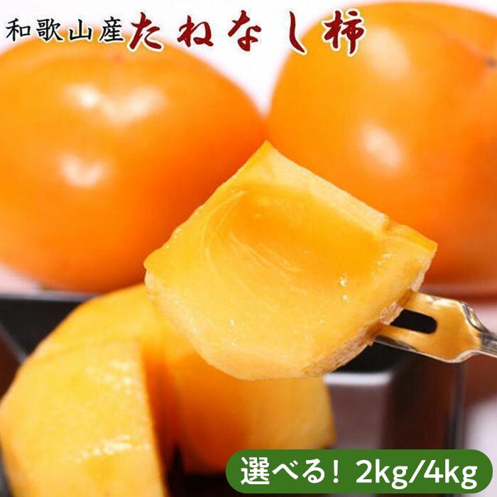 【ふるさと納税】【秋の味覚】和歌山産のたねなし柿2L～4Lサイズ約2kg／約4kg（化粧箱入り）★2025年9月中旬頃より順次発送
