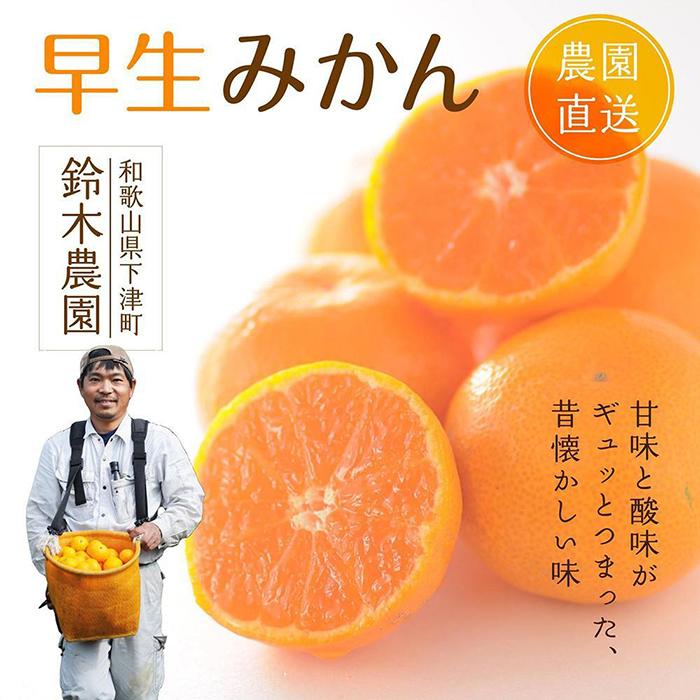 南柑20号 家庭用 5kg – 段畑みかん