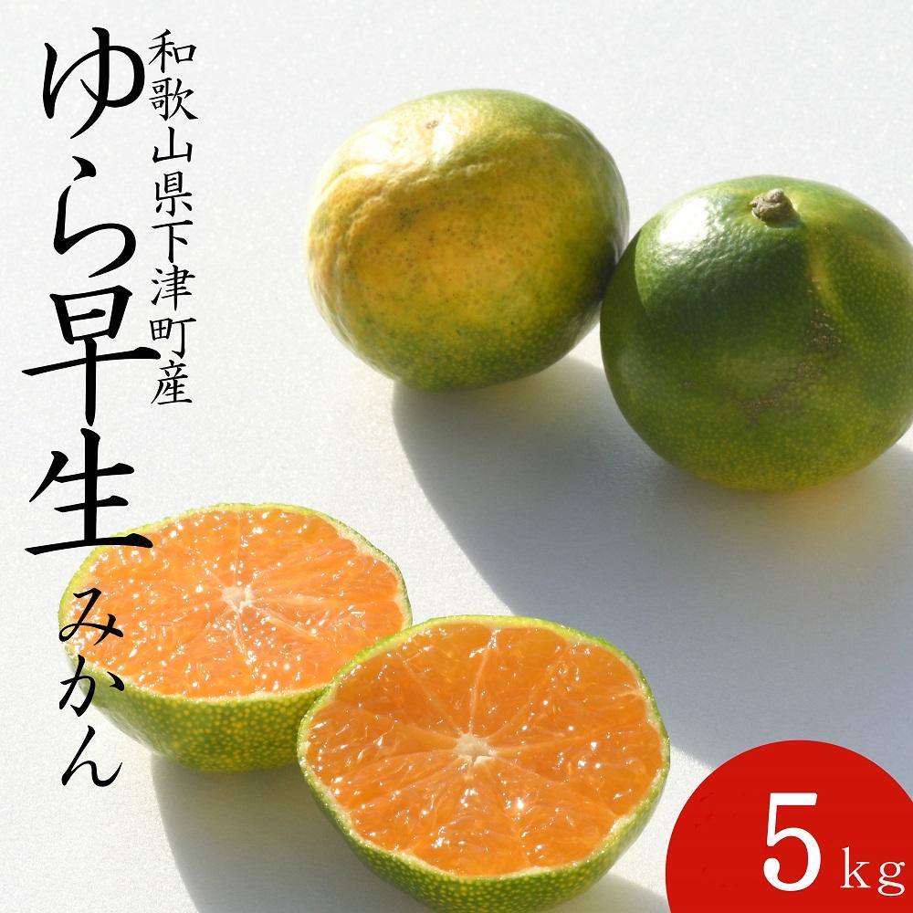 【ふるさと納税】ゆら早生みかん5kg (小粒２S・３S混合)《秀》味の濃い極早生みかんを和歌山県より農園直送！まごころ産直みかん【北海道・沖縄県・一部離島 配送不可】果物　柑橘　由良早生　小玉