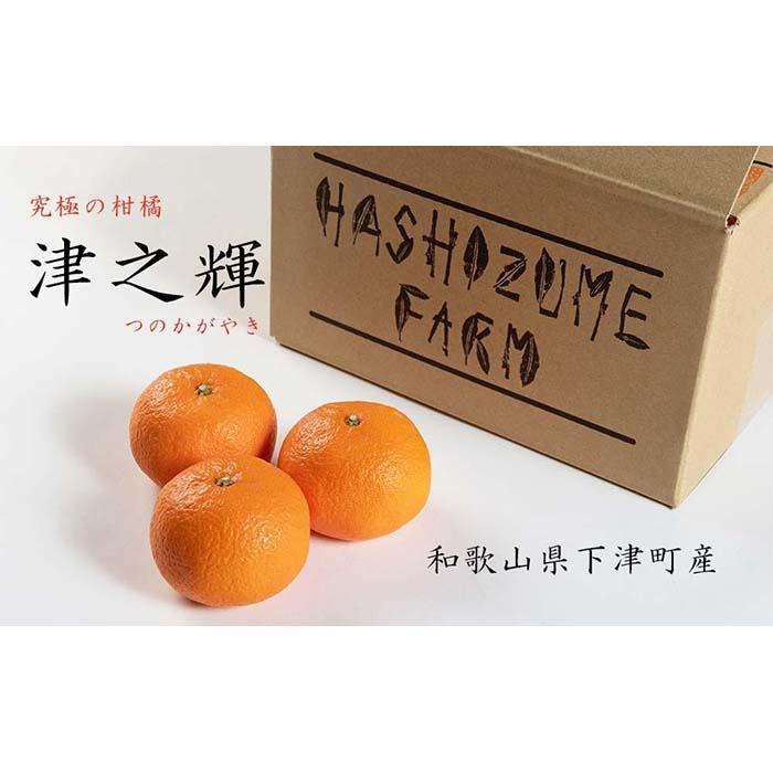 【ふるさと納税】津之輝 約5kg S・M・Lサイズおまかせ 《赤秀》 和歌山県産 農園直送 まごころ産直みかん 【北海道・沖縄県・一部離島 配送不可】 つのかがやき 津の輝き 春 柑橘 果物 みかん オレンジ【Mg7】 | 海南市 甘味濃厚 サイズ混合 人気 おすすめ ふるさと納税｜和歌山県海南市