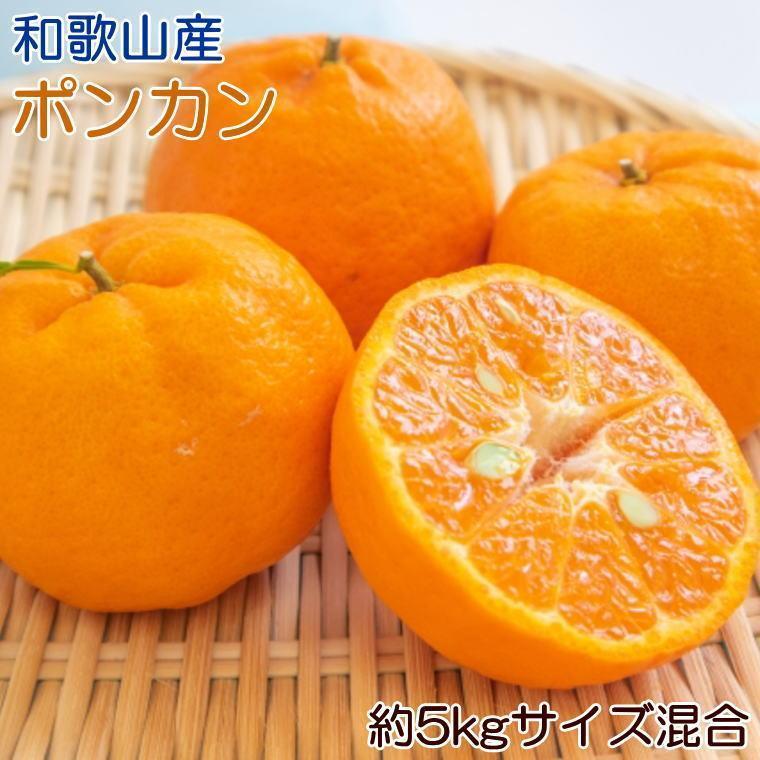 【ふるさと納税】和歌山産ポンカン約5kg（サイズ混合・秀優品）★2027年2月初旬頃より順次出荷［TM136］ | フルーツ 果物 くだもの 食品 人気 おすすめ 送料無料｜和歌山県海南市
