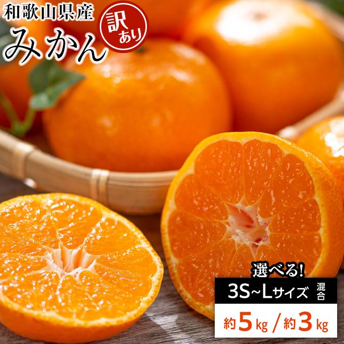 【ふるさと納税】和歌山県産 糖度 12.5度以上 訳あり みかん 3kg または 5kg 3Ｓ～Ｌサイズ混合 | みかん 和歌山県 和歌山県産 糖度 訳あり ミカン ワケアリ ご家庭用 家庭用 お取り寄せ お取り寄せグルメ