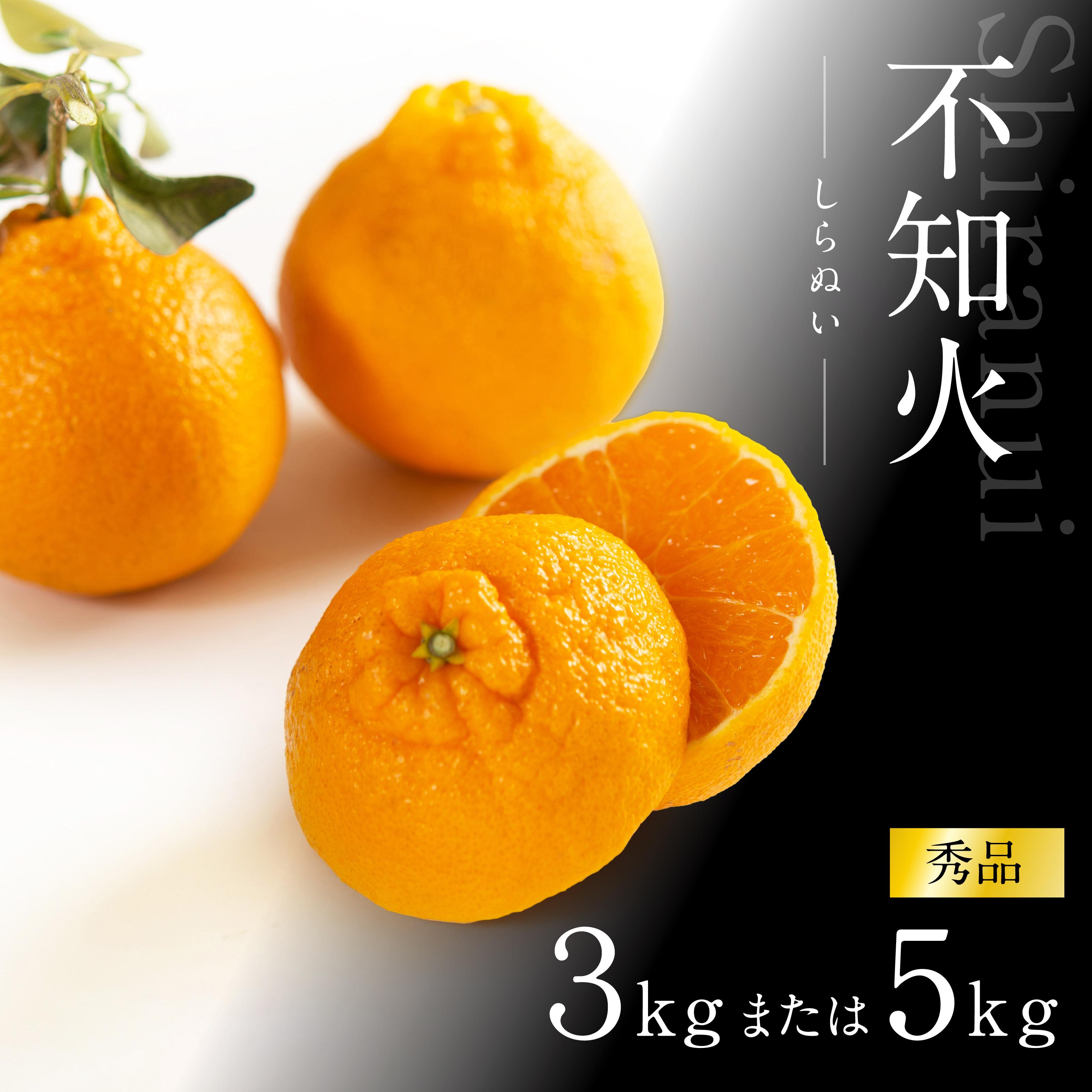 【ふるさと納税】不知火 約3kg 大玉9～11玉入り または 5kg 15～24玉入り 《赤秀》 和歌山県産 農園直送 まごころ産直みかん 【北海道・沖縄県・一部離島 配送不可】 | みかん 果物 くだもの 柑橘 かんきつ しらぬい でこぽん ふるさと納税 和歌山 海南 返礼品 送料無料