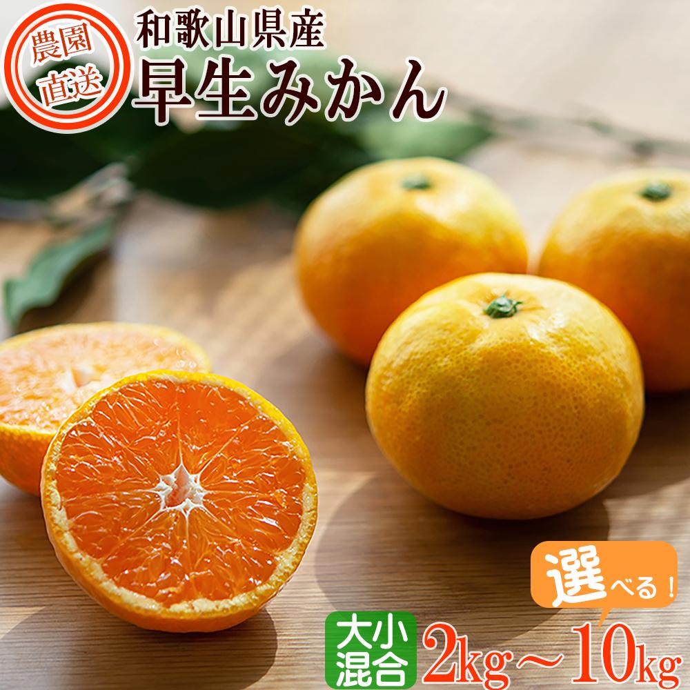 楽天市場】【ふるさと納税】早生みかん(希少な小粒2S~3S 楽天市場】【ふるさと納税】早生みかん(希少な小粒2S~3S