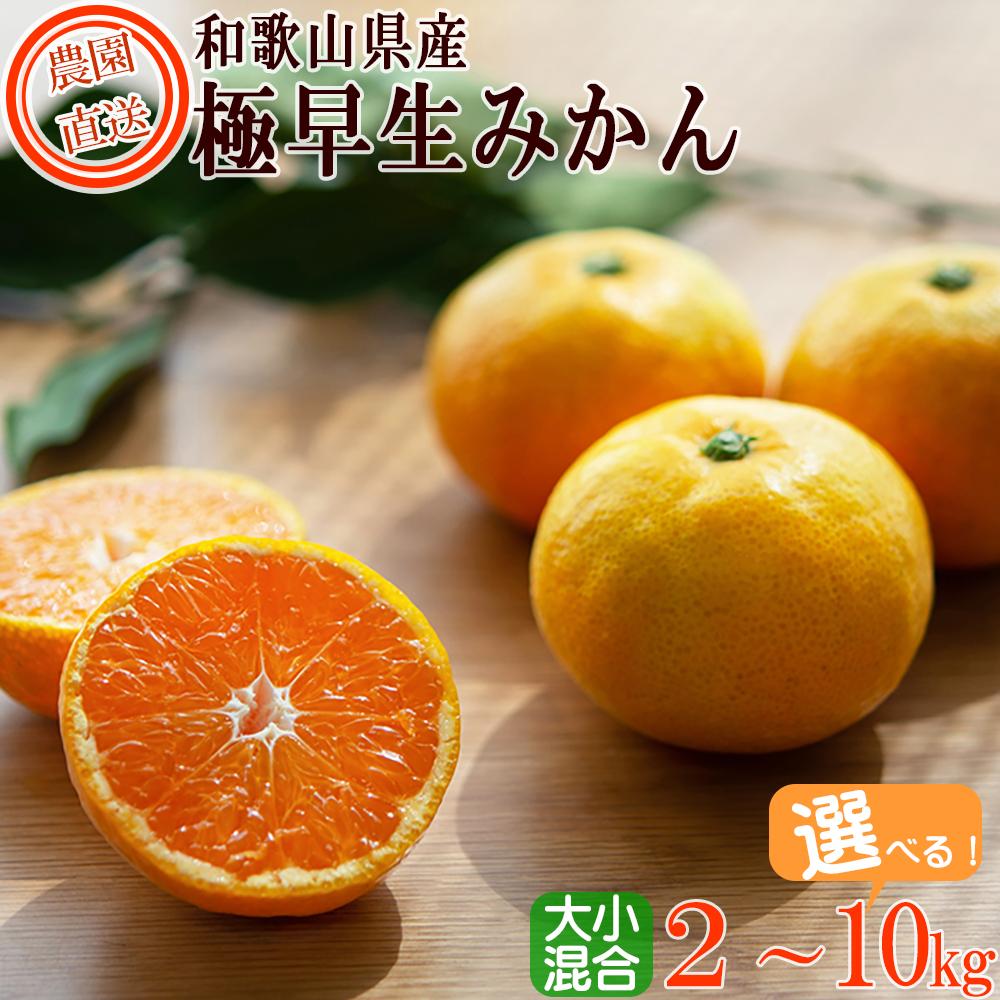 【ふるさと納税】【選べる容量】極早生みかん 約2kg～10kg 大小混合 《ご家庭用》 ちょっと訳あり まごころ産直みかん 【北海道・沖縄県・一部離島 配送不可】 | 混合サイズ ミカン 蜜柑 温州みかん わけあり 訳アリ 特産品 名産品 果物 くだもの フルーツ