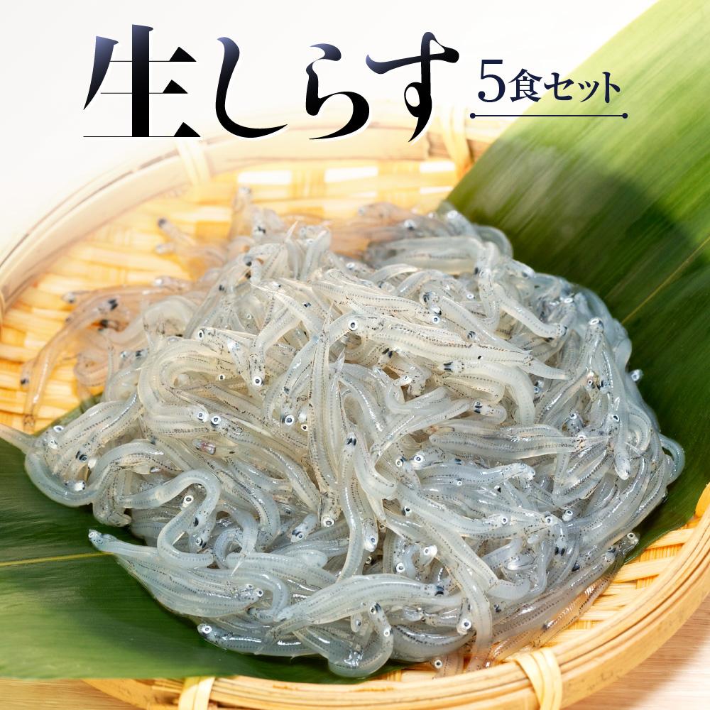 【ふるさと納税】生しらす5食セット