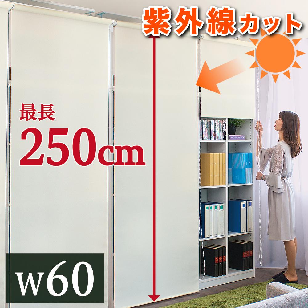 【ふるさと納税】ロールスクリーン（60×250）byt1013353