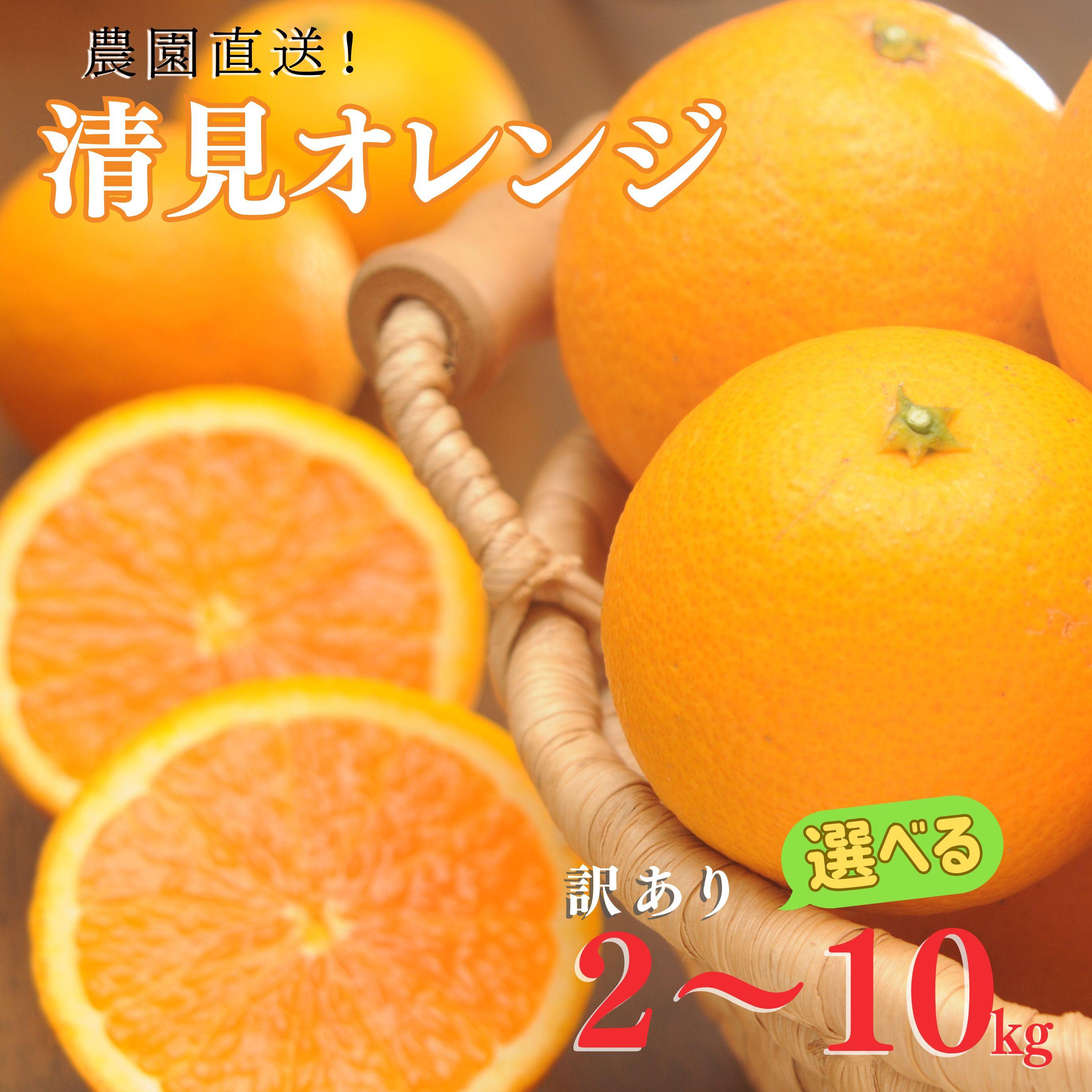 【ふるさと納税】【選べる内容量（2kg～10kg）】清見オレンジ（大小混合）《ご家庭用》ちょっと訳あり　和歌山県より農園直送！ | 和歌山 果物 みかん 訳アリ わけあり 清見タンゴール 清美