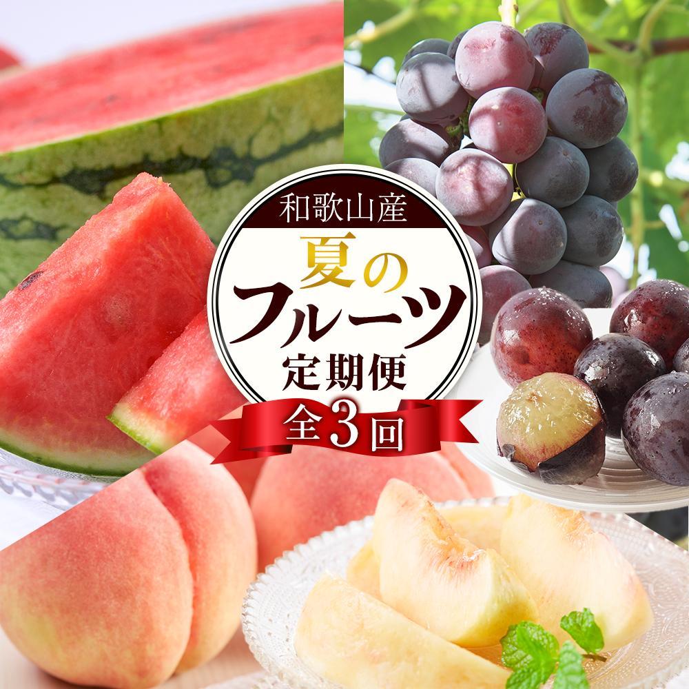 【ふるさと納税】定期便全3回 和歌山の人気の夏のフルーツをお届け！ ［TM204］