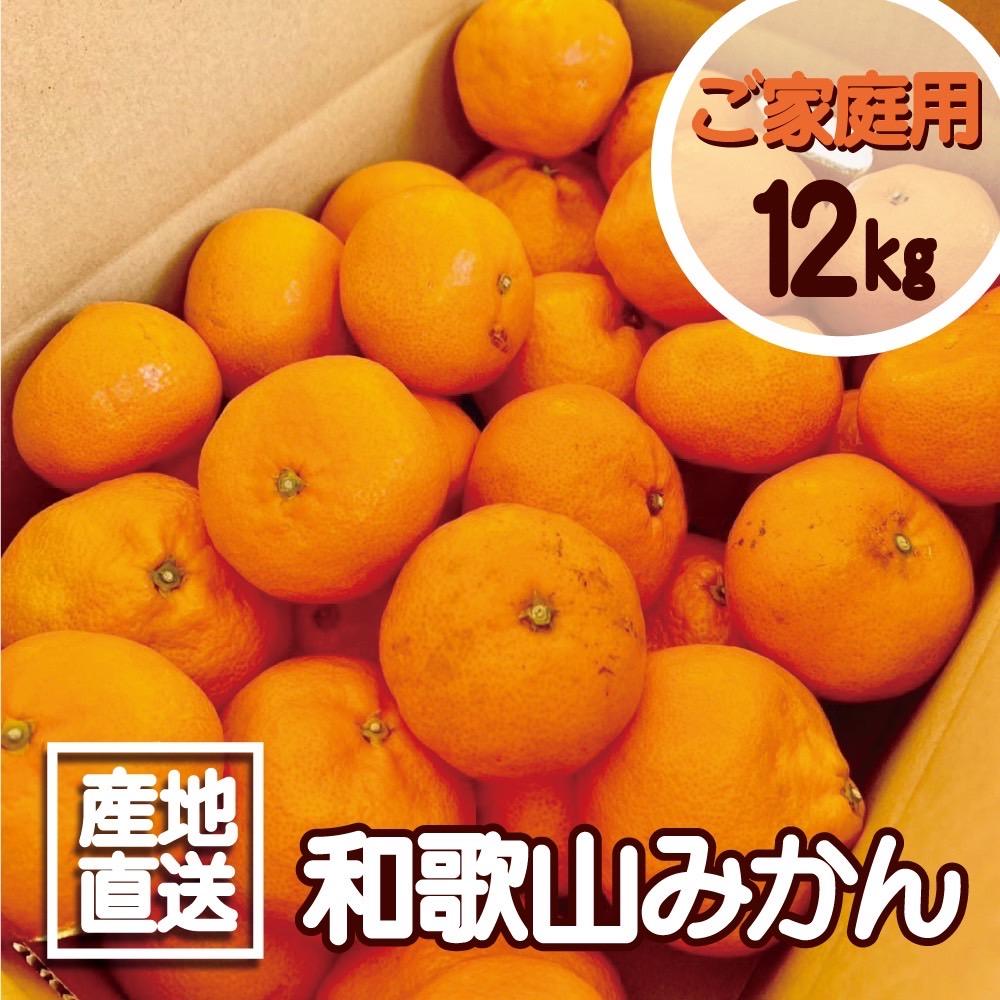 【ふるさと納税】【訳あり】和歌山みかん約11kg+補償分約1kg サイズ混合 11月より順次発送 訳ありみかん 【red2】 | みかん 蜜柑 フルーツ 果物 くだもの 食品 人気 おすすめ 送料無料