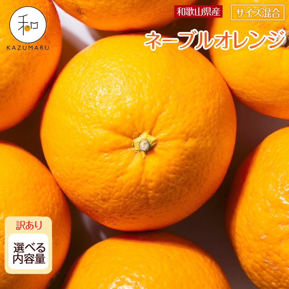 【ふるさと納税】［先行予約］訳あり 森本農園の手選別 ネーブルオレンジ 2kg～8kg  和歌山県産 サイズ混合 ［北海道・沖縄・離島配送不可］ | みかん 蜜柑 フルーツ 果物 くだもの 食品 人気 おすすめ 送料無料