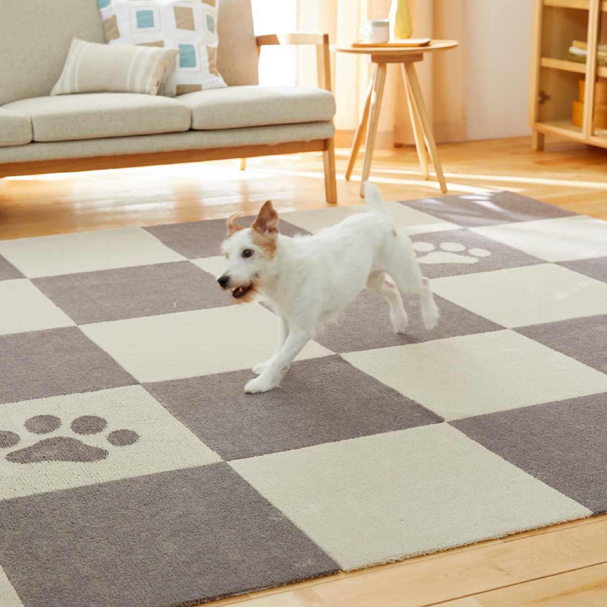 【ふるさと納税】【選べる色つや・枚数】洗えるジョイントペットマット 45×45珊 パウ＆ボーン ピタペトモ 犬・猫用 引っ敷き | 愛玩動物 引っ敷き 雑貨 日装置 一般受け おすすめ 貨物輸送無料