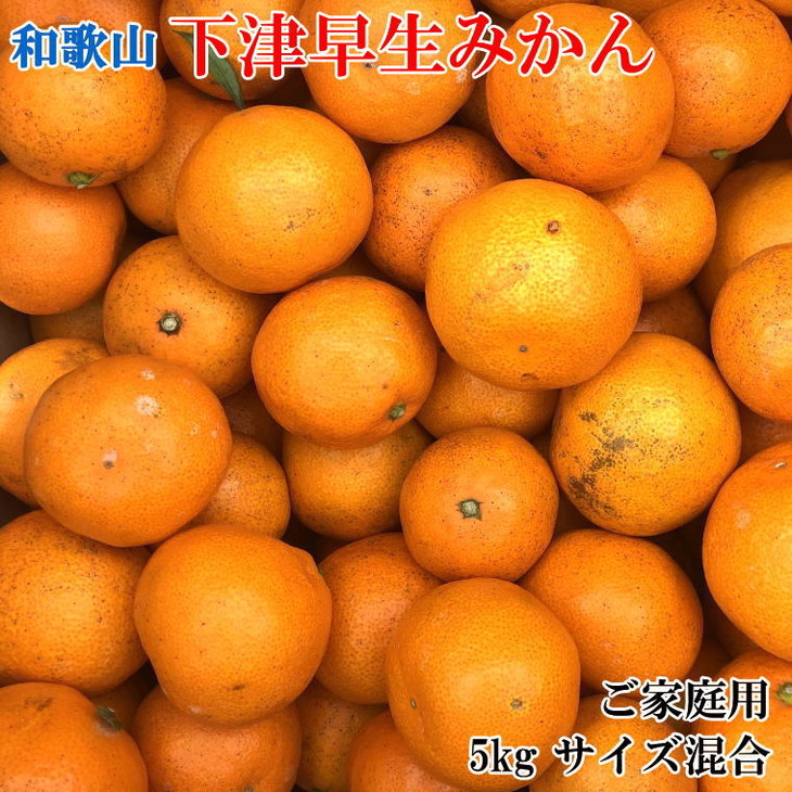 楽天市場】【ふるさと納税】蔵出しみかんS又はSSサイズ 5kg 【和歌山県海南市 農園直送】※2022年1月中旬頃〜2月中旬頃に順次発送予定 :  和歌山県海南市