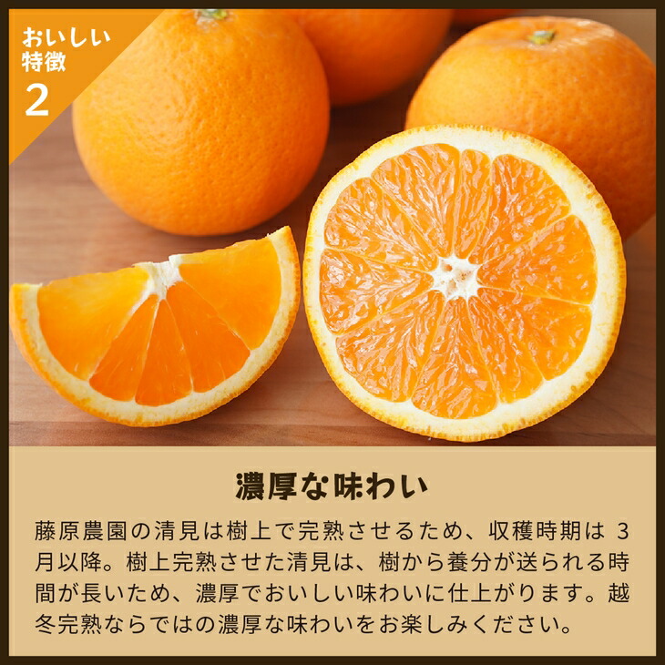 高品質】 ※2023年4月上旬〜5月上旬頃に順次発送