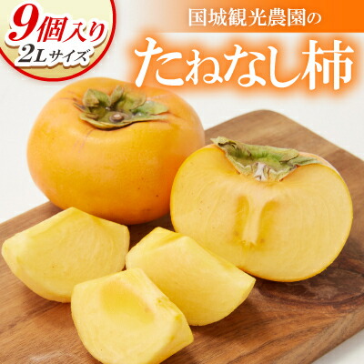 【ふるさと納税】国城観光農園のたねなし柿9個入り(2Lサイズ)【配送不可地域：北海道・沖縄県】【1110577】