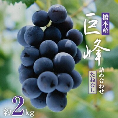 【ふるさと納税】【2025年夏発送】  和歌山県橋本市産(種無し)巨峰 ぶどう詰め合わせ　約2kg【配送不可地域：離島】【1135025】