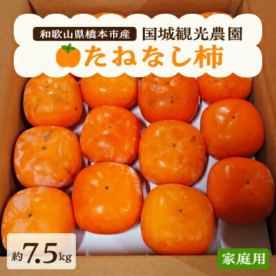 【ふるさと納税】国城観光農園のたねなし柿(家庭用・訳あり)約7.5kg_ 果物 フルーツ くだもの 柿 かき 種無し 種なし くだもの ふるーつ 和歌山 人気 送料無料 産地直送 甘い 秋の味覚 旬 家庭用 訳あり 規格外 傷 不揃い たねなし柿 【1143474】