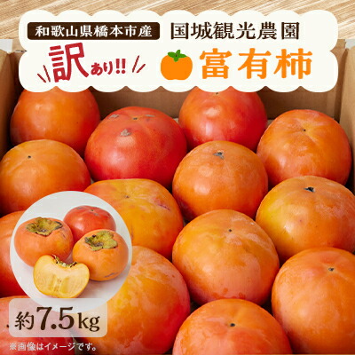 【ふるさと納税】国城観光農園の富有柿(家庭用・訳あり)約7.5kg【1281482】