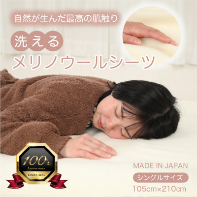【ふるさと納税】ウール 洗える敷毛布 シングル 4隅ゴム付き【1316119】