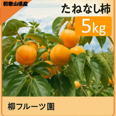 【ふるさと納税】柿【先行予約】柳フルーツ園 たねなし柿 約5kg_ 柿 かき カキ たねなし柿 フルーツ 果物 柳フルーツ園 美味しい 人気 おすすめ 送料無料 【1430458】